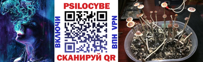 купить  сайты  площадка какой сайт  Псилоцибиновые грибы Psilocybe  Губаха  OMG вход 