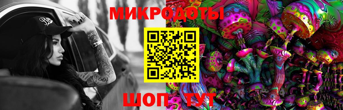 Губаха  Галлюциногенные грибы Psilocybine cubensis  Вход с VPN 